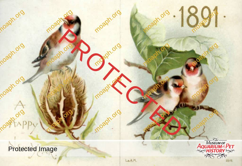 Victorian Trade Cards and the Pet Trade, an Initial Overview