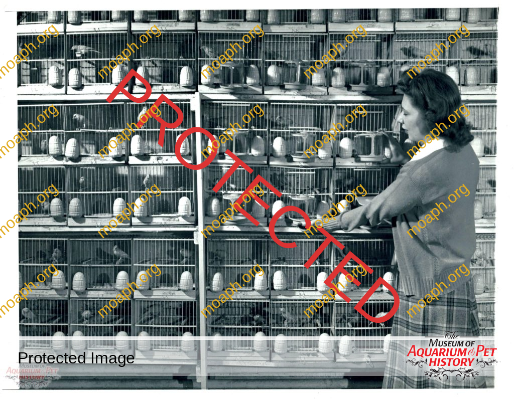 The Petpak Products Company