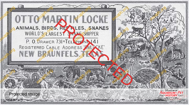 Reptile Dealers and Their Price Lists