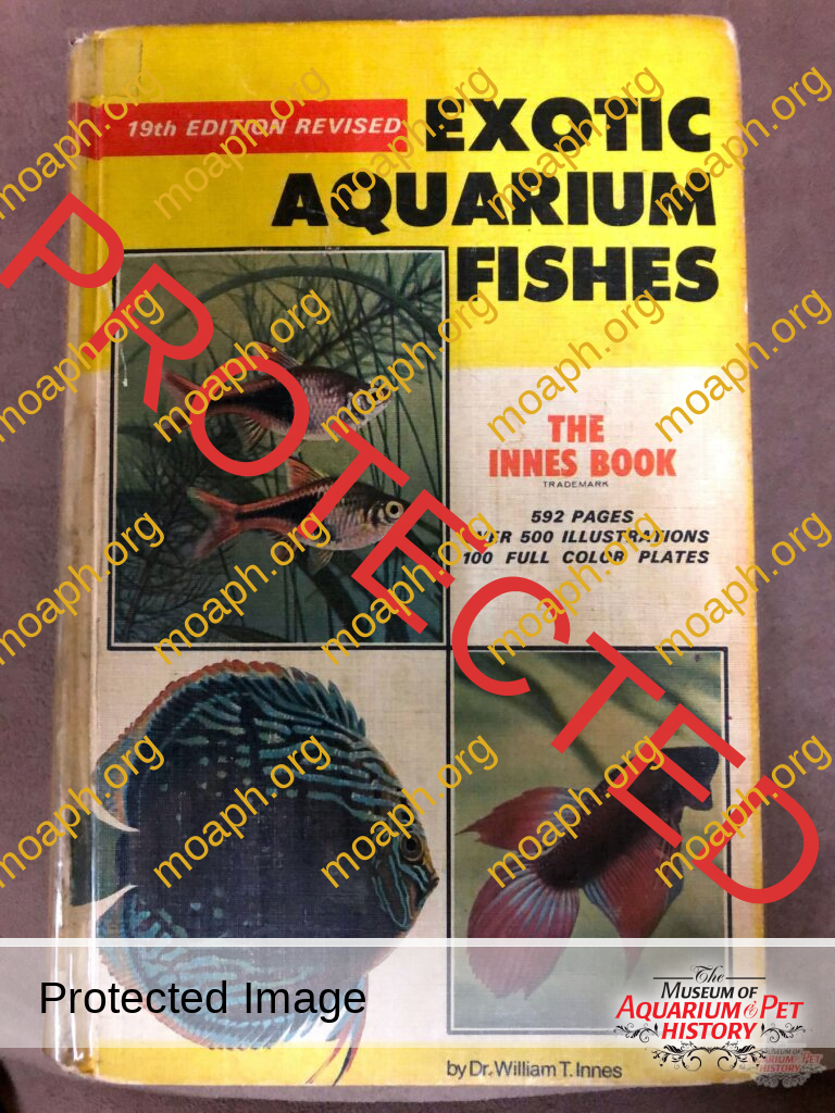 Beginnings: A Memoir of my Early Days in the Hobby