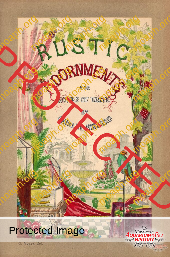 The Evolution of Keeping Captive Amphibians and Reptiles