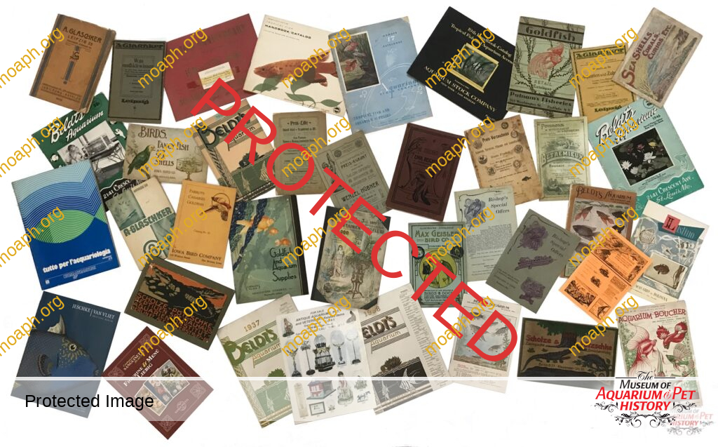 Antique and Vintage Catalogs: Time Portals to a Magnificent Past