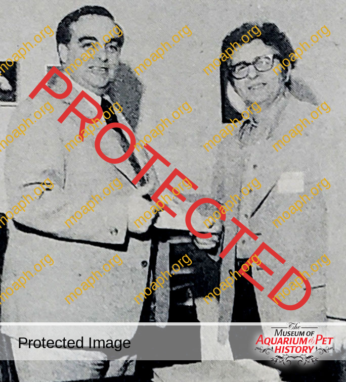 Metaframe to Sponsor Guppies to Groupers