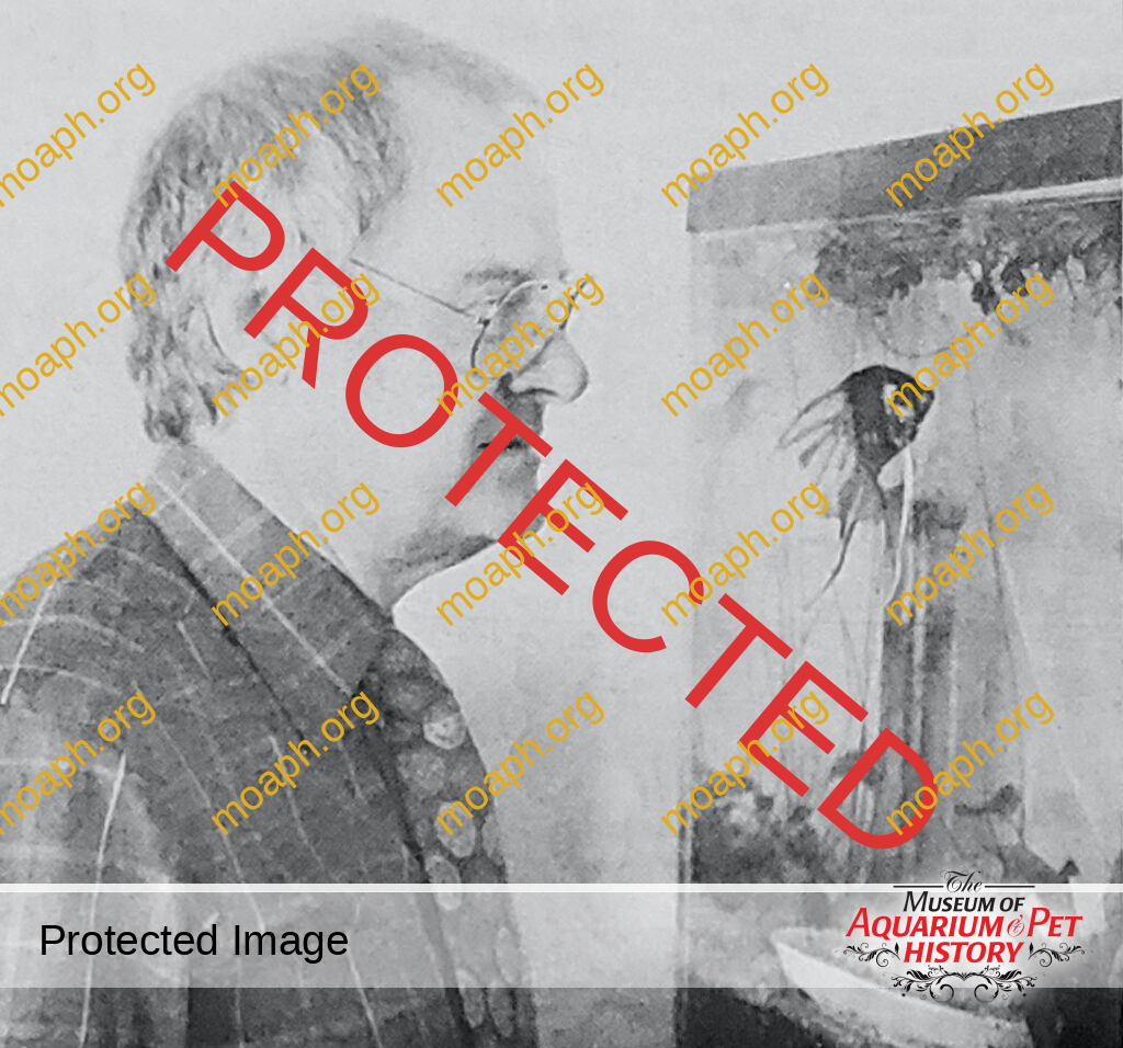 Allan and Harding Willinger-From Wil-Nes to Metaframe to SECOND NATURE