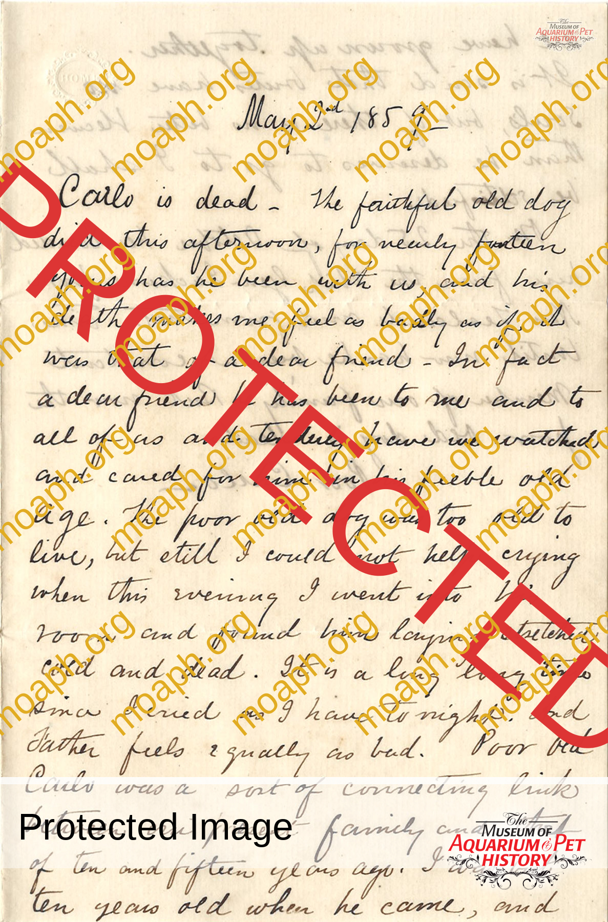 Henry-Wight-Diman-letter-to-carlo-page-1