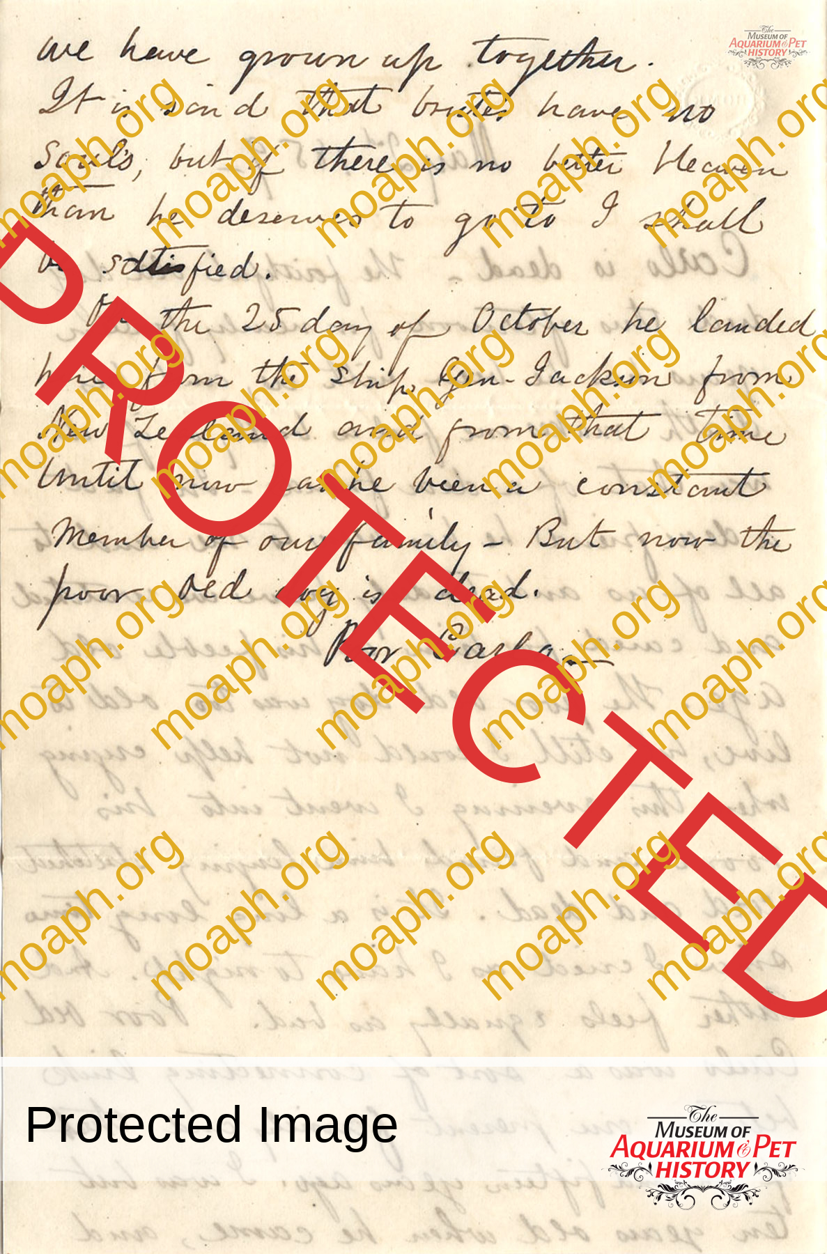 Henry-Wight-Diman-letter-to-carlo-page-2