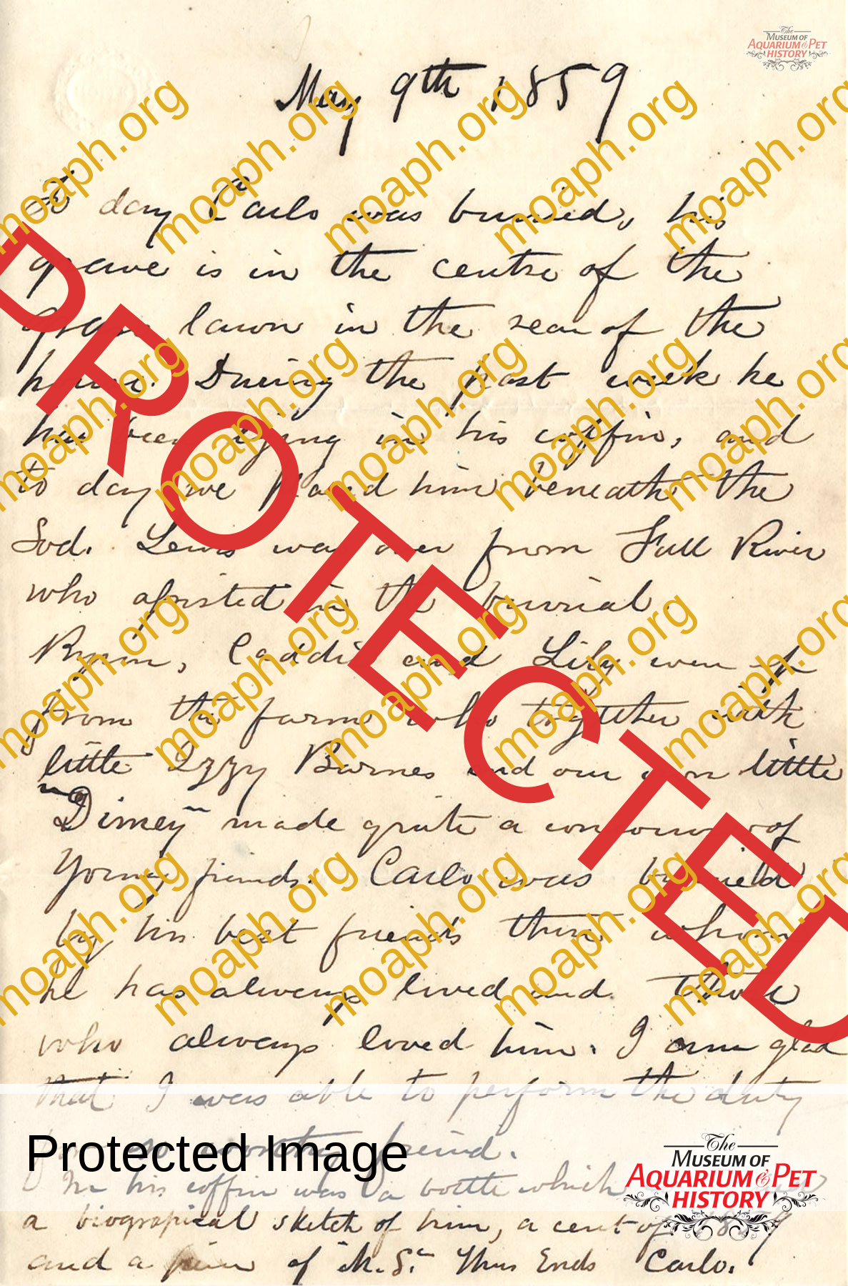 Henry-Wight-Diman-letter-to-carlo-page-3