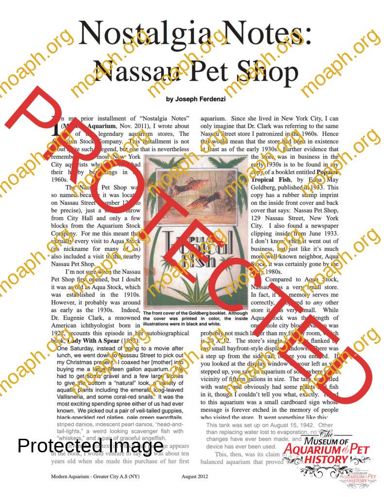Nostalgia Notes: Nassau Pet Shop