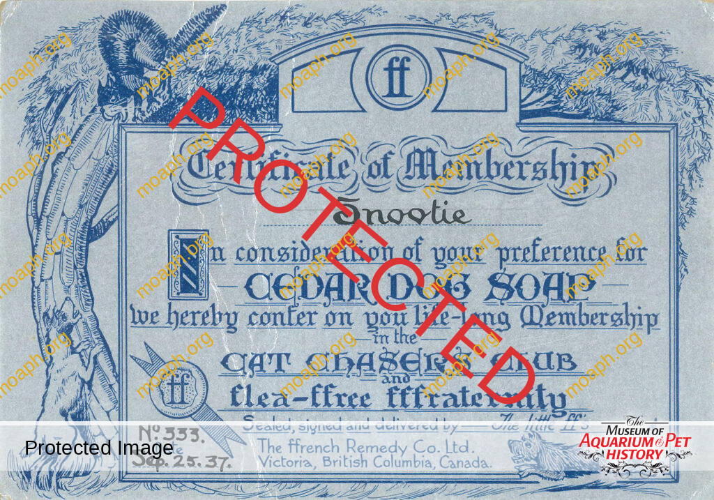 Certificate of Membership Cat Chasers Club
