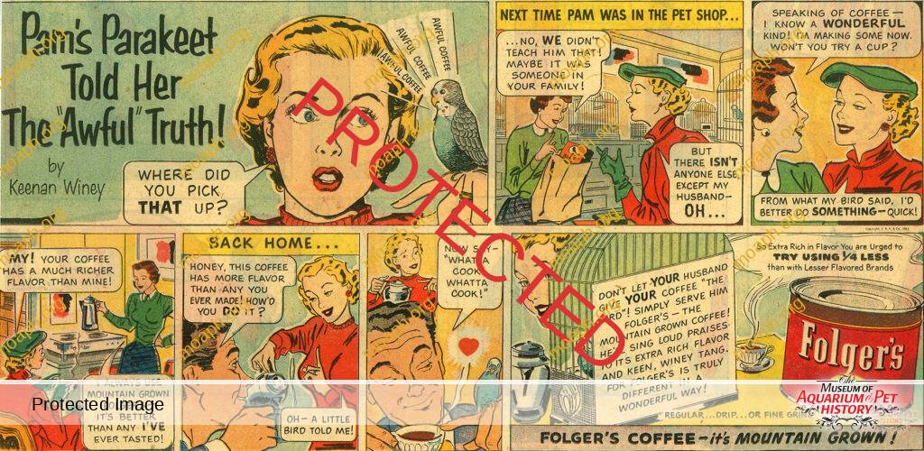 1960s Pam's Parakeet Cartoon
