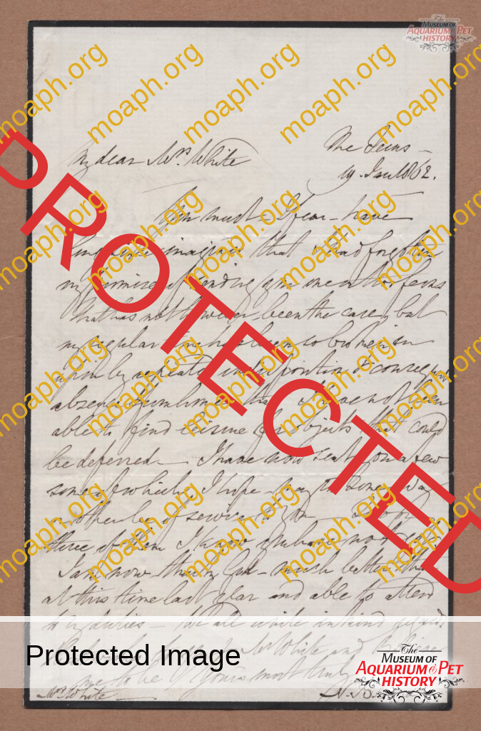 Nathaniel Bagshaw Ward Letter