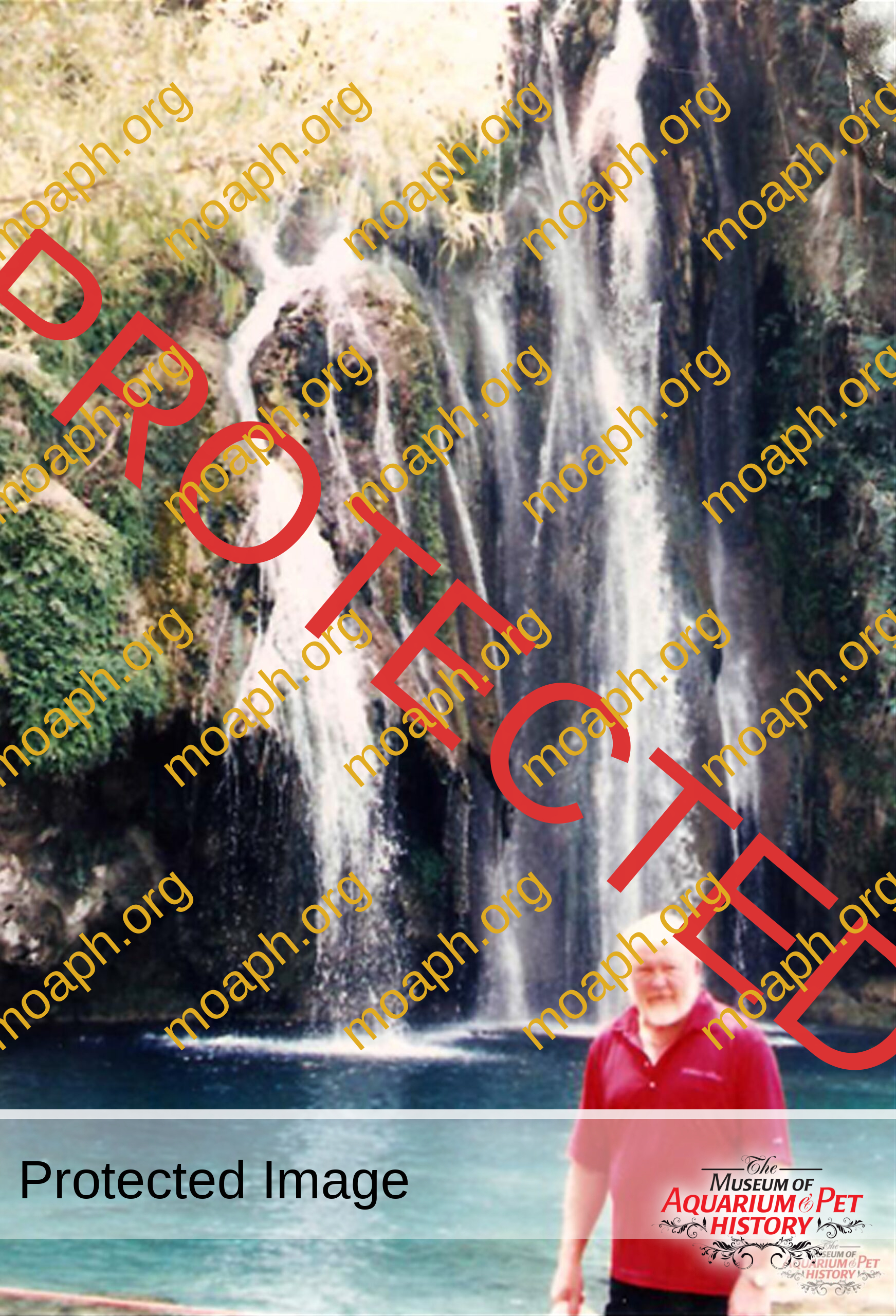 ElwynSegrest-Waterfall