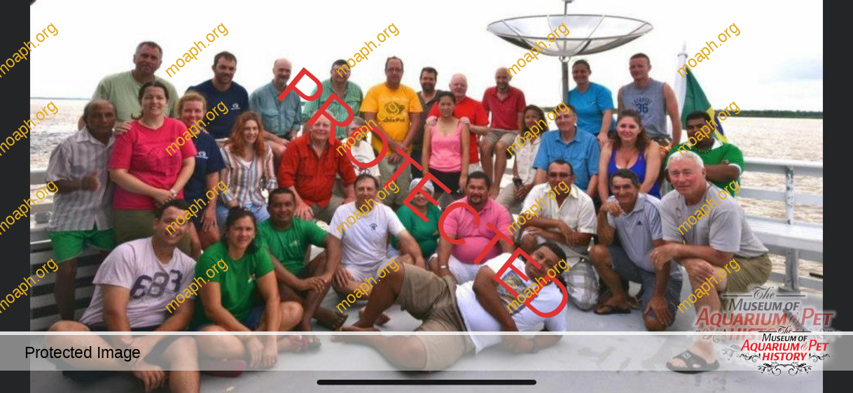 Histroy Sandy Travel 3