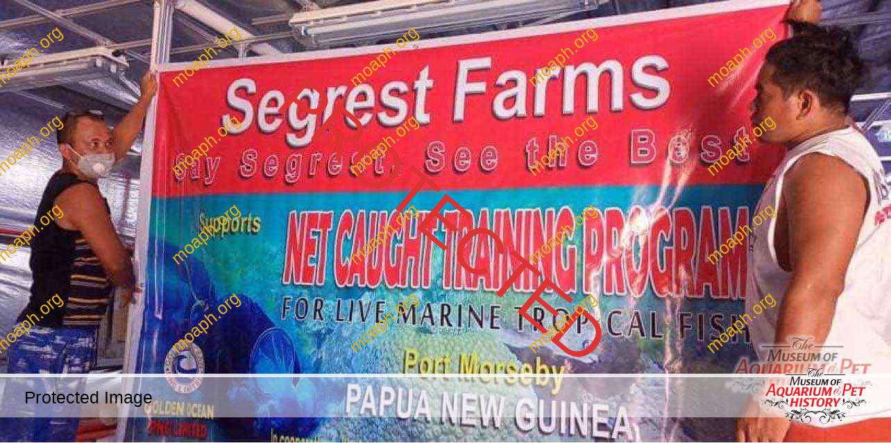 Net Training Program Photo