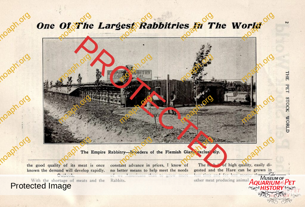 One of the Largest Rabbitries in the World