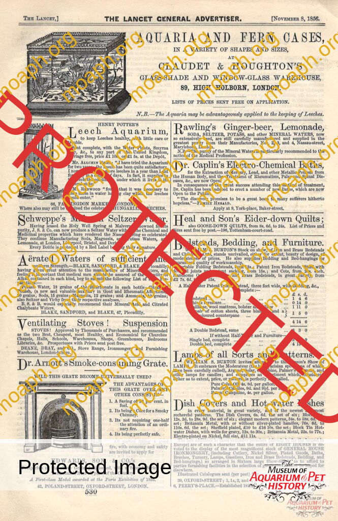 The Lancet Central Advertiser of London Ad