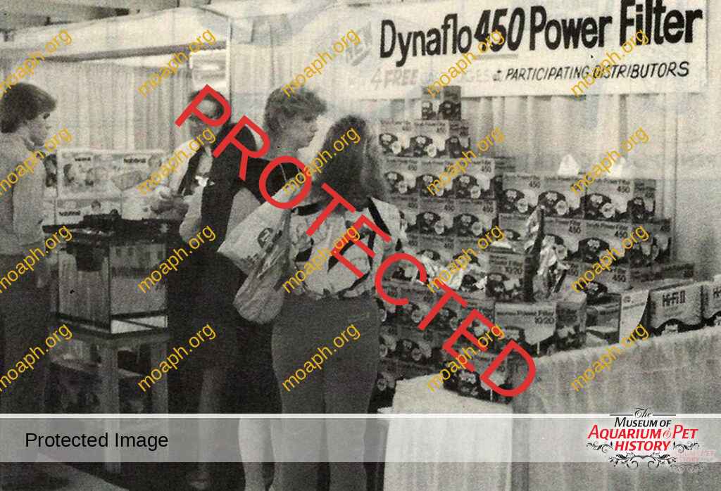 Remembering Metaframe Corp.