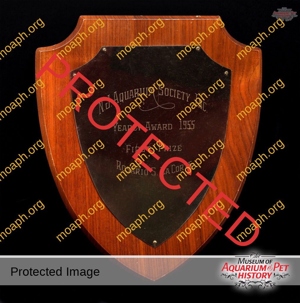 Rosario LaCorte Awards