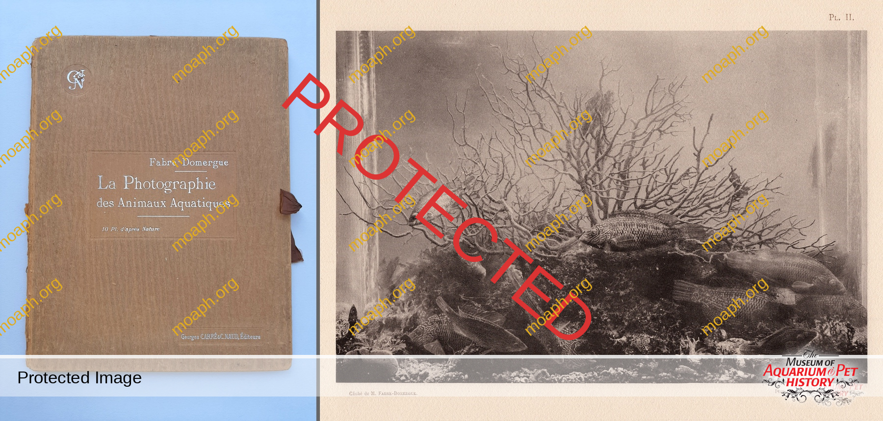 Antique Portraits001