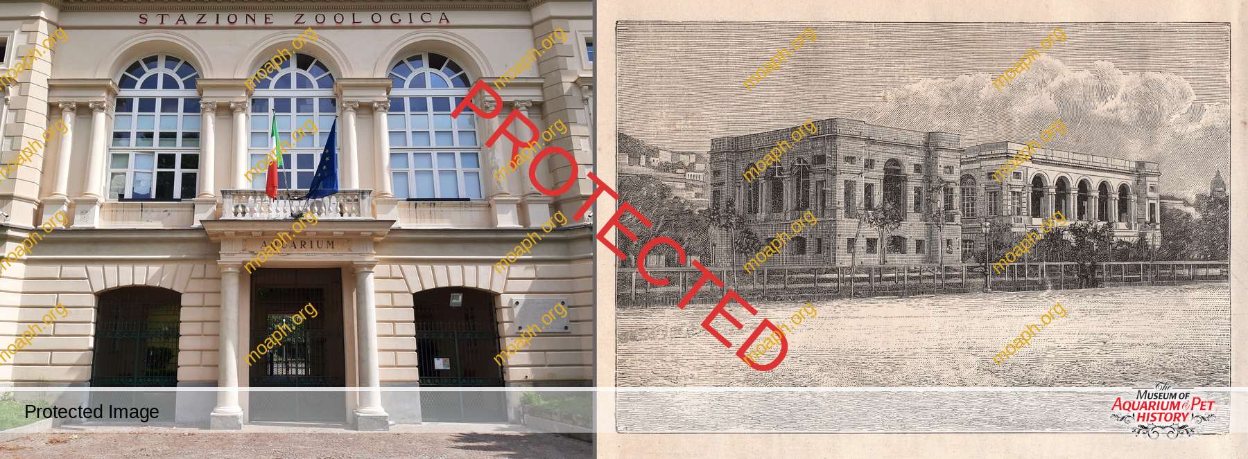 Antique Portraits005