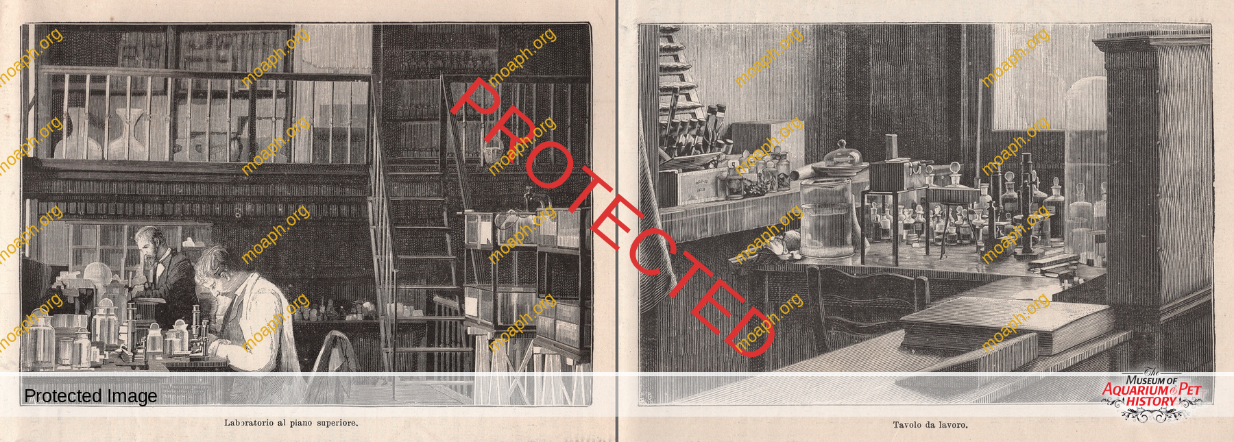 Antique Portraits007