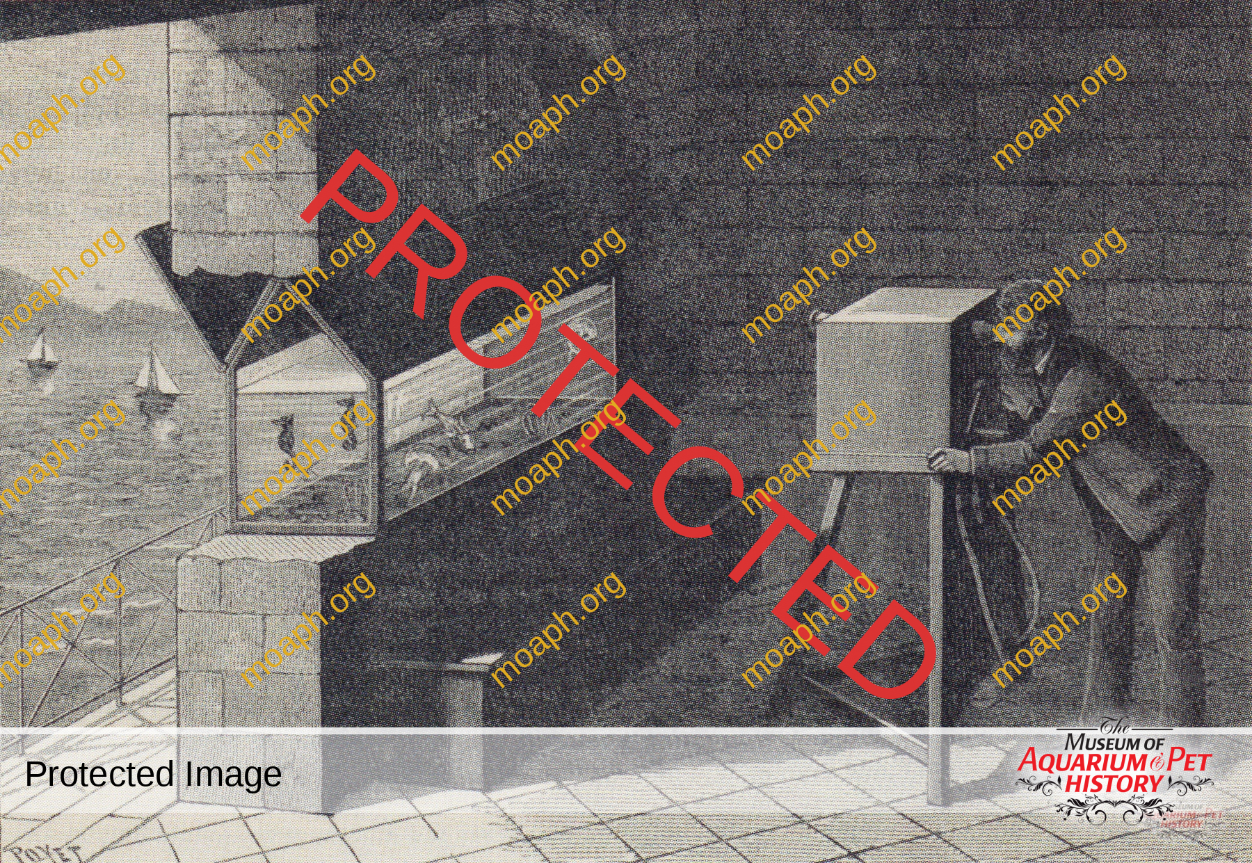 Antique Portraits008