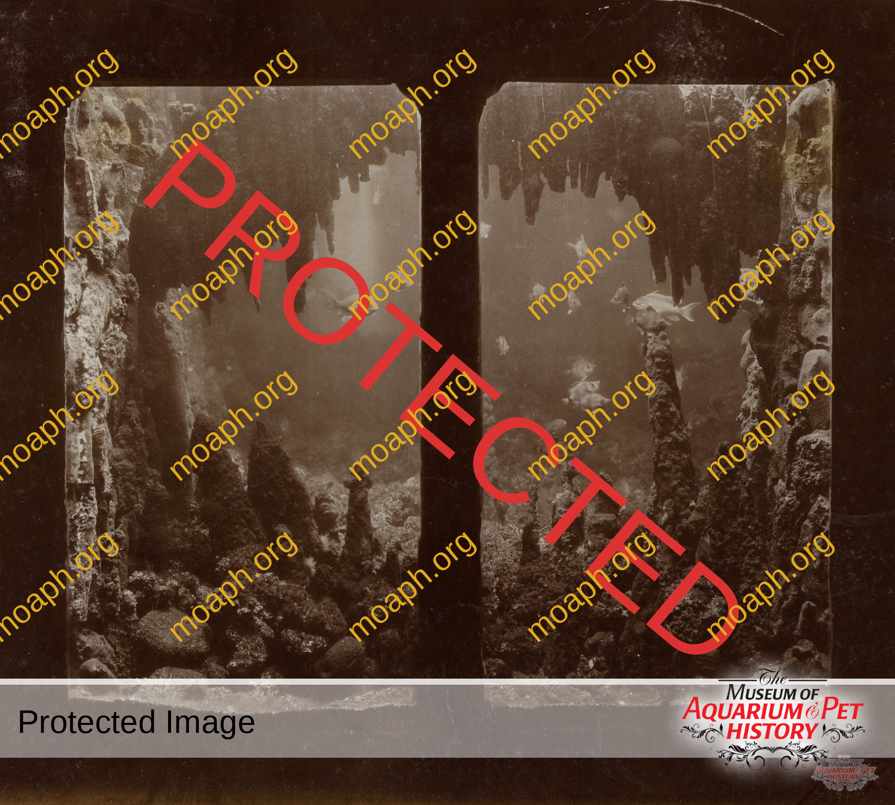 Antique Portraits009