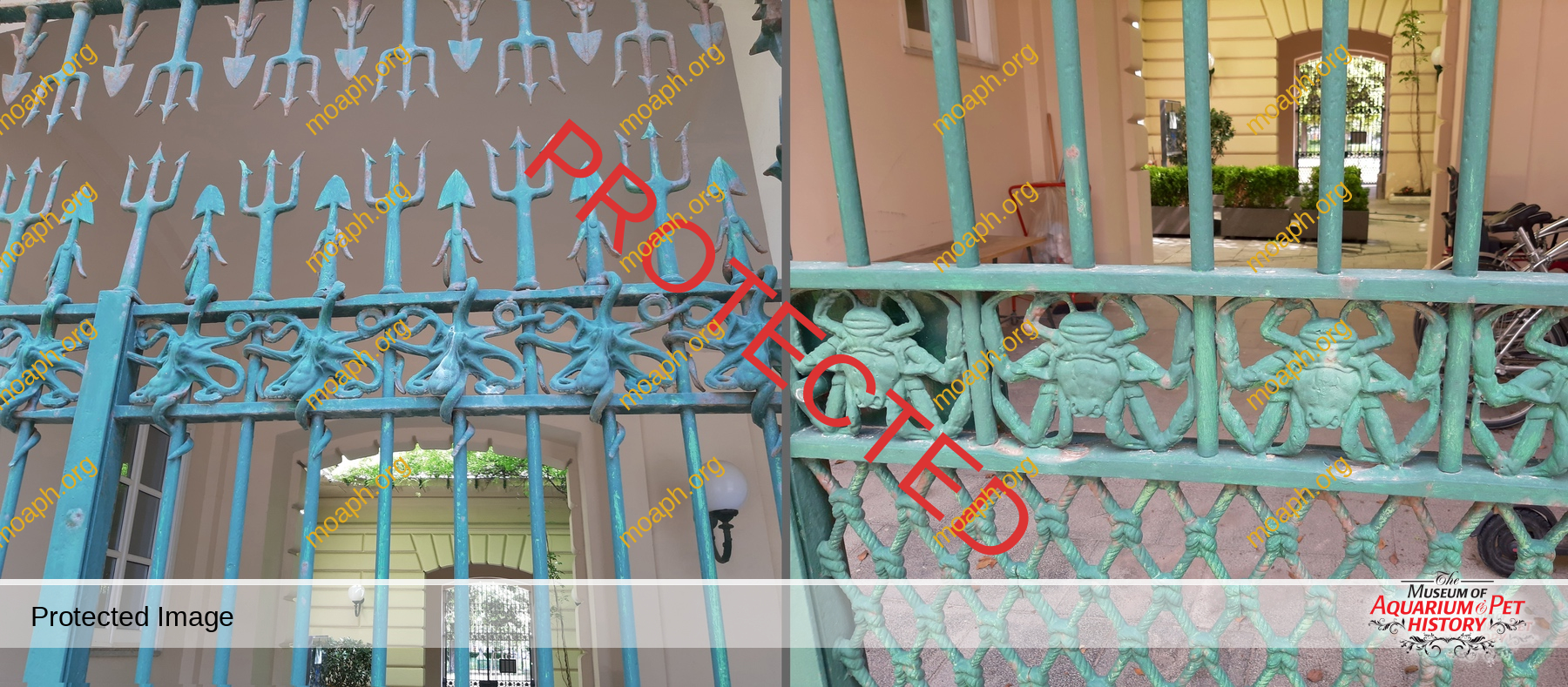 Antique Portraits012