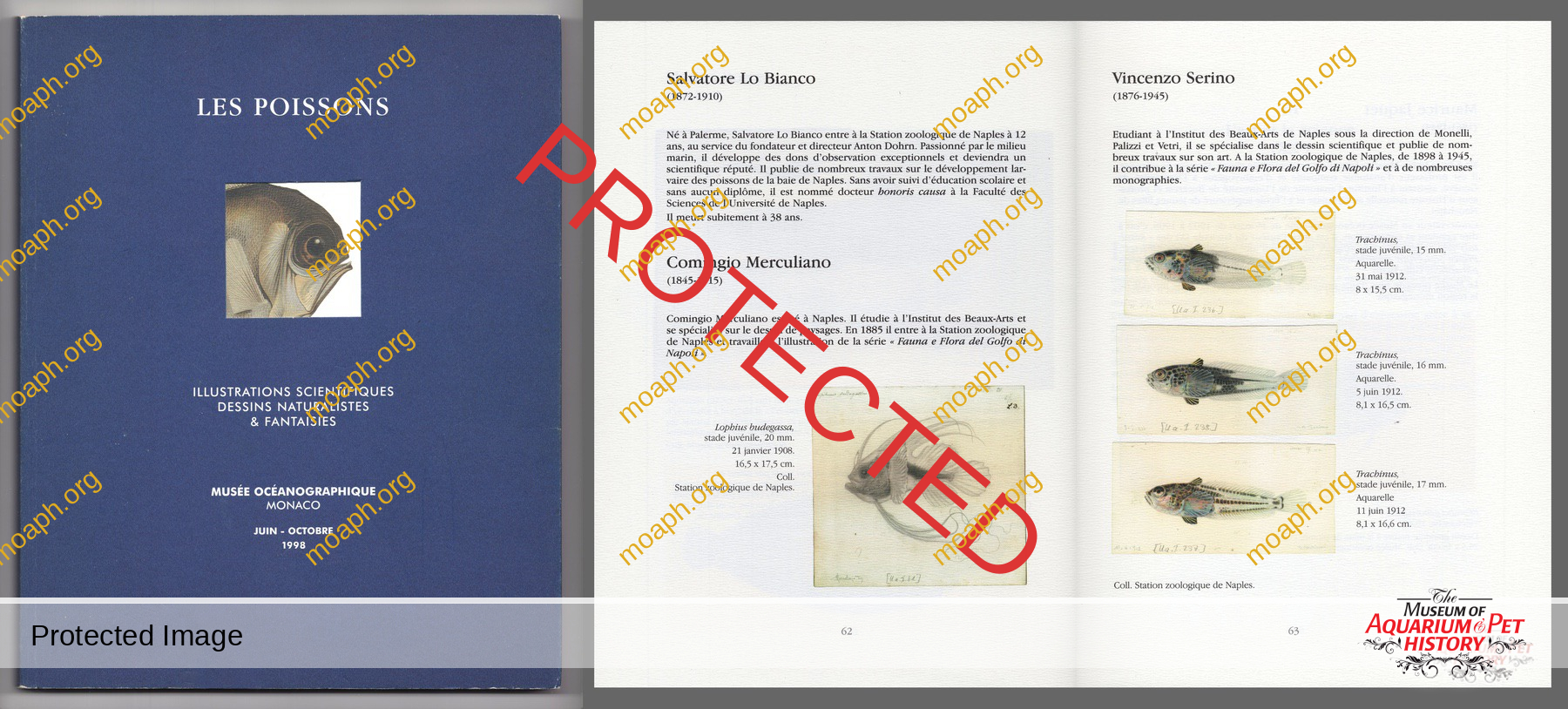 Antique Portraits037