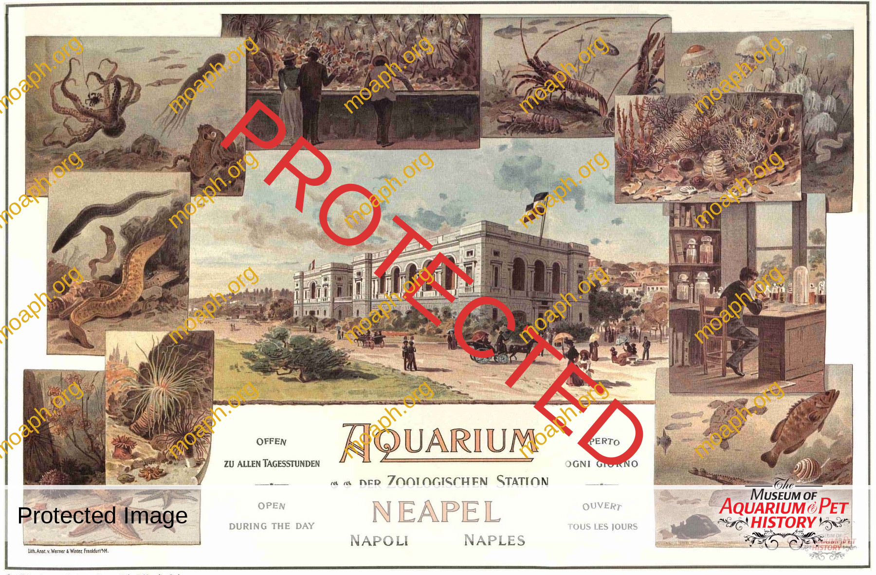 Antique Portraits038