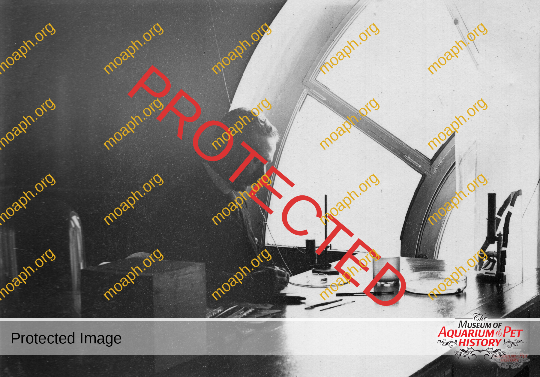 Antique Portraits039