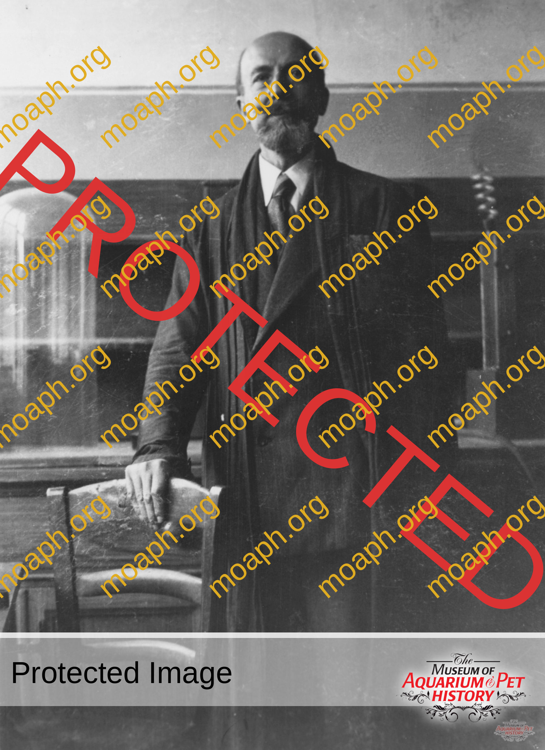 Antique Portraits040