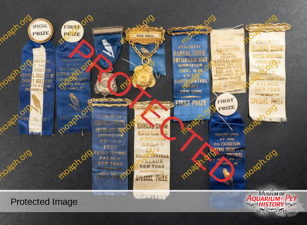 Central Society of Canary Breeders and Empire Cage Bird Association Show Ribbons