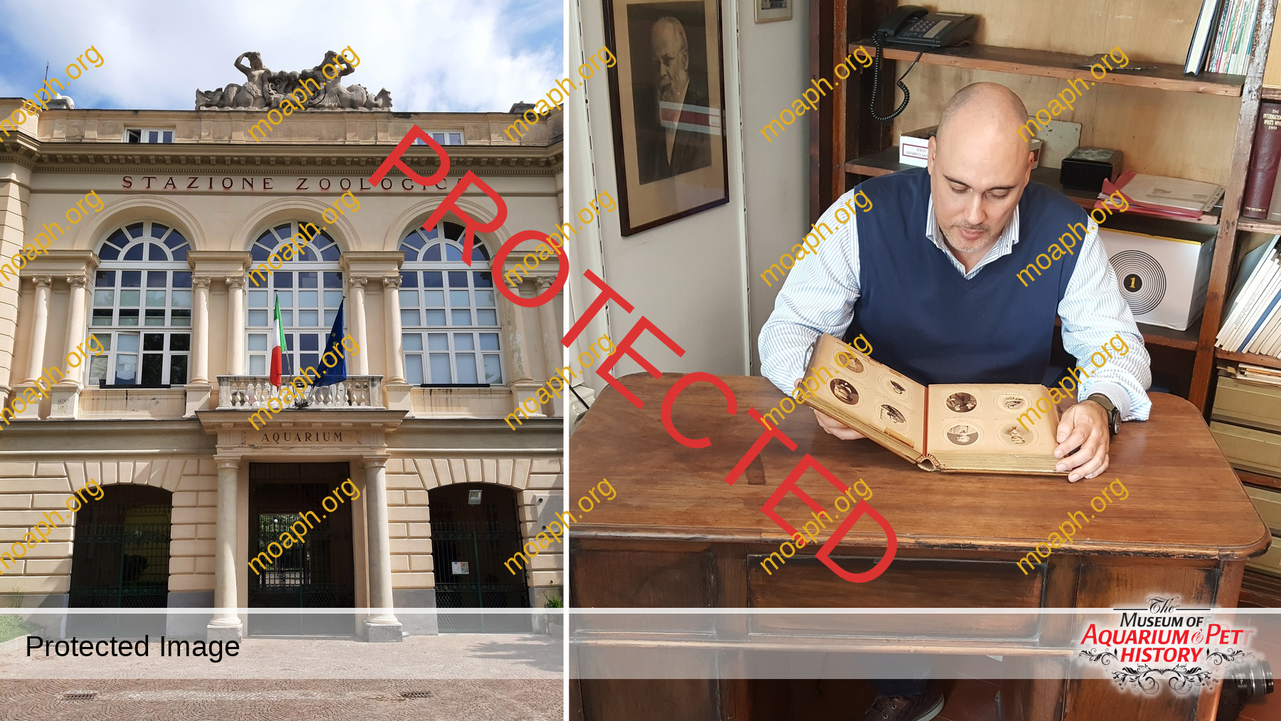 Emiliano-Spada_William-Alford-Lloyd-Article_Photo-1