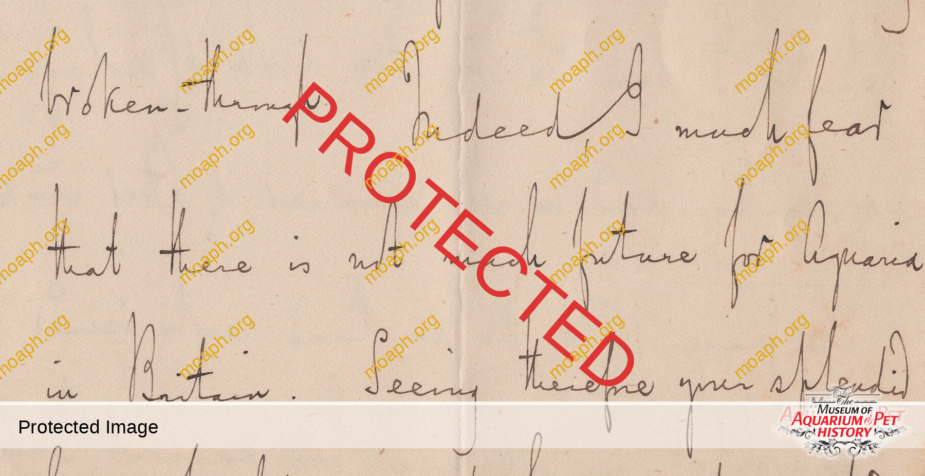 Emiliano-Spada_William-Alford-Lloyd-Article_Photo-10