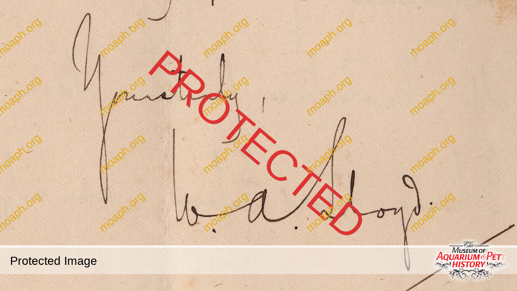 Emiliano-Spada_William-Alford-Lloyd-Article_Photo-11