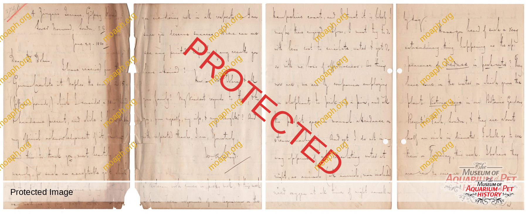 Emiliano-Spada_William-Alford-Lloyd-Article_Photo-13