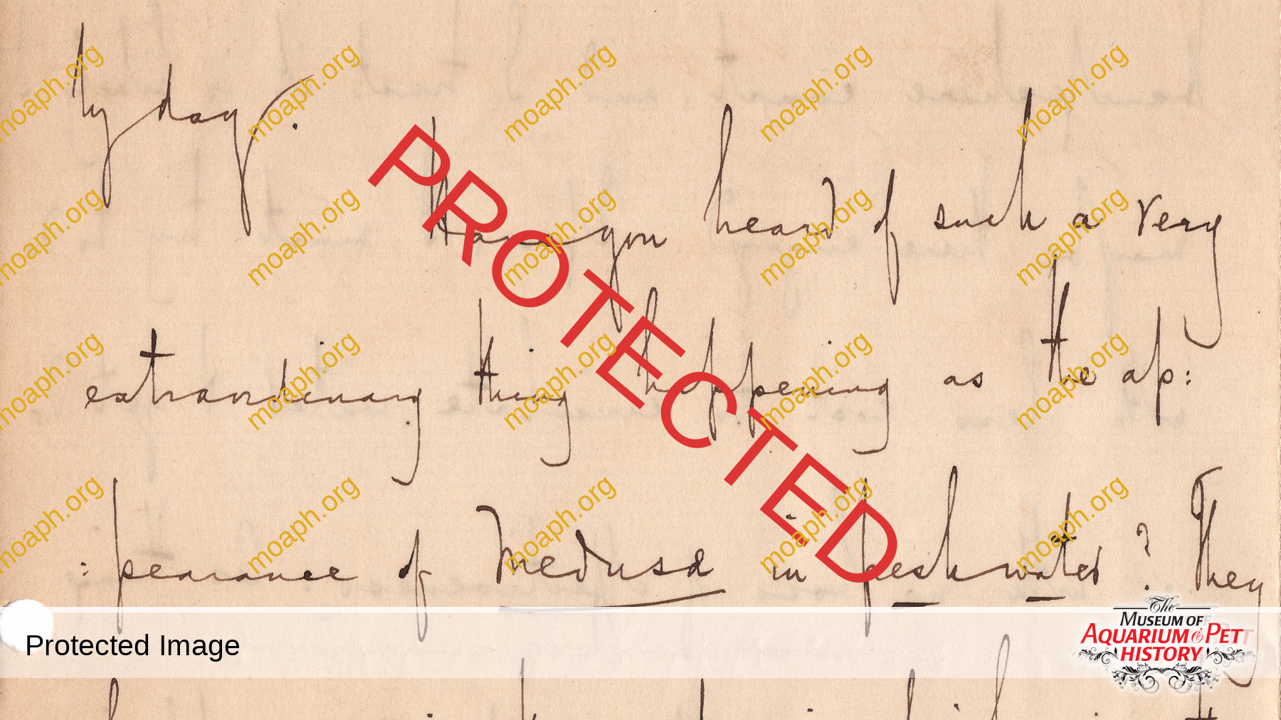 Emiliano-Spada_William-Alford-Lloyd-Article_Photo-14