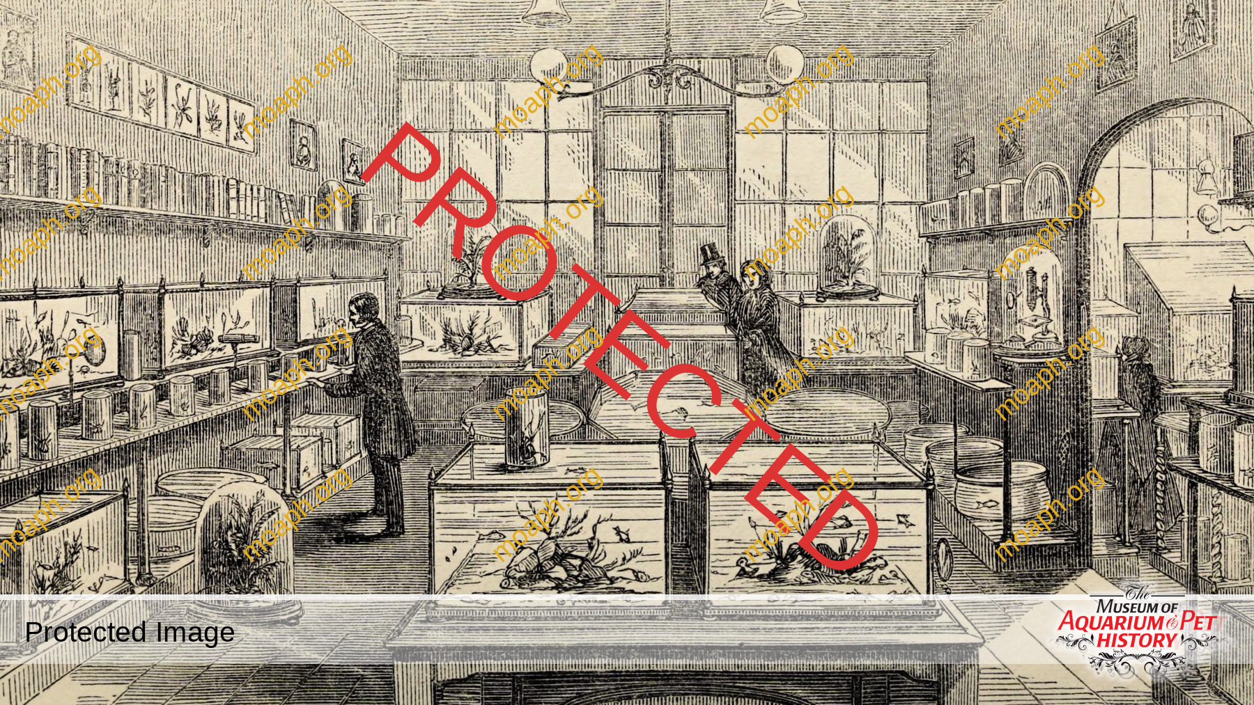 Emiliano-Spada_William-Alford-Lloyd-Article_Photo-15