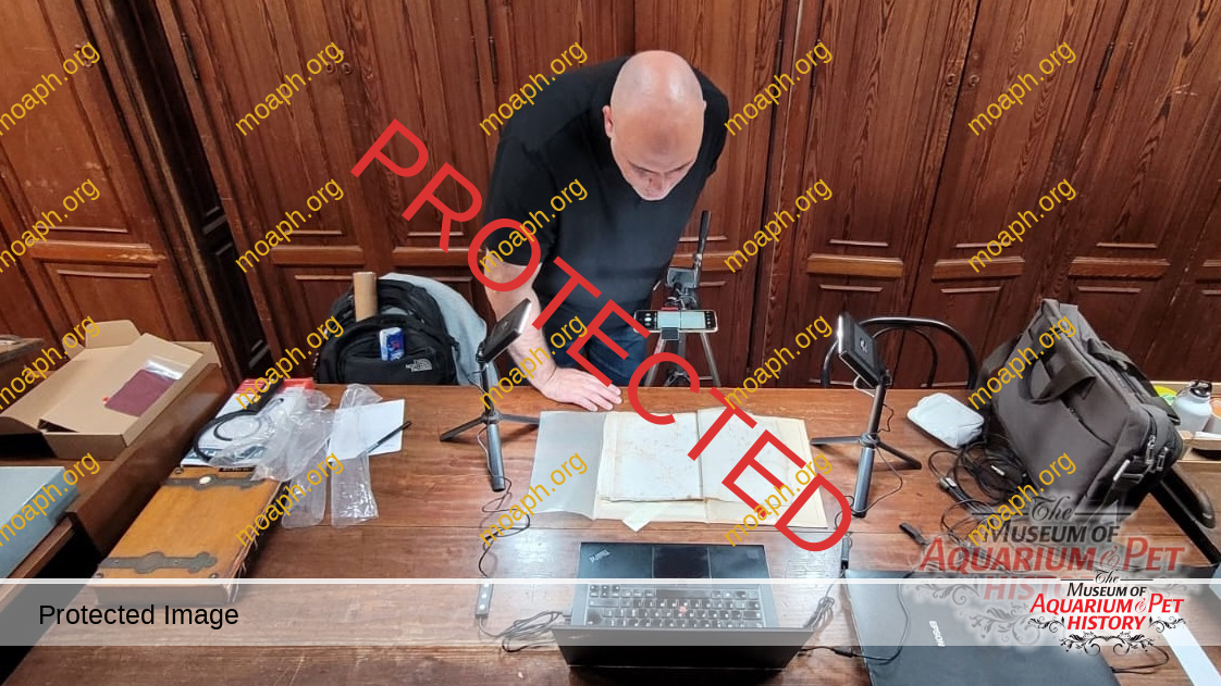 Emiliano-Spada_William-Alford-Lloyd-Article_Photo-2