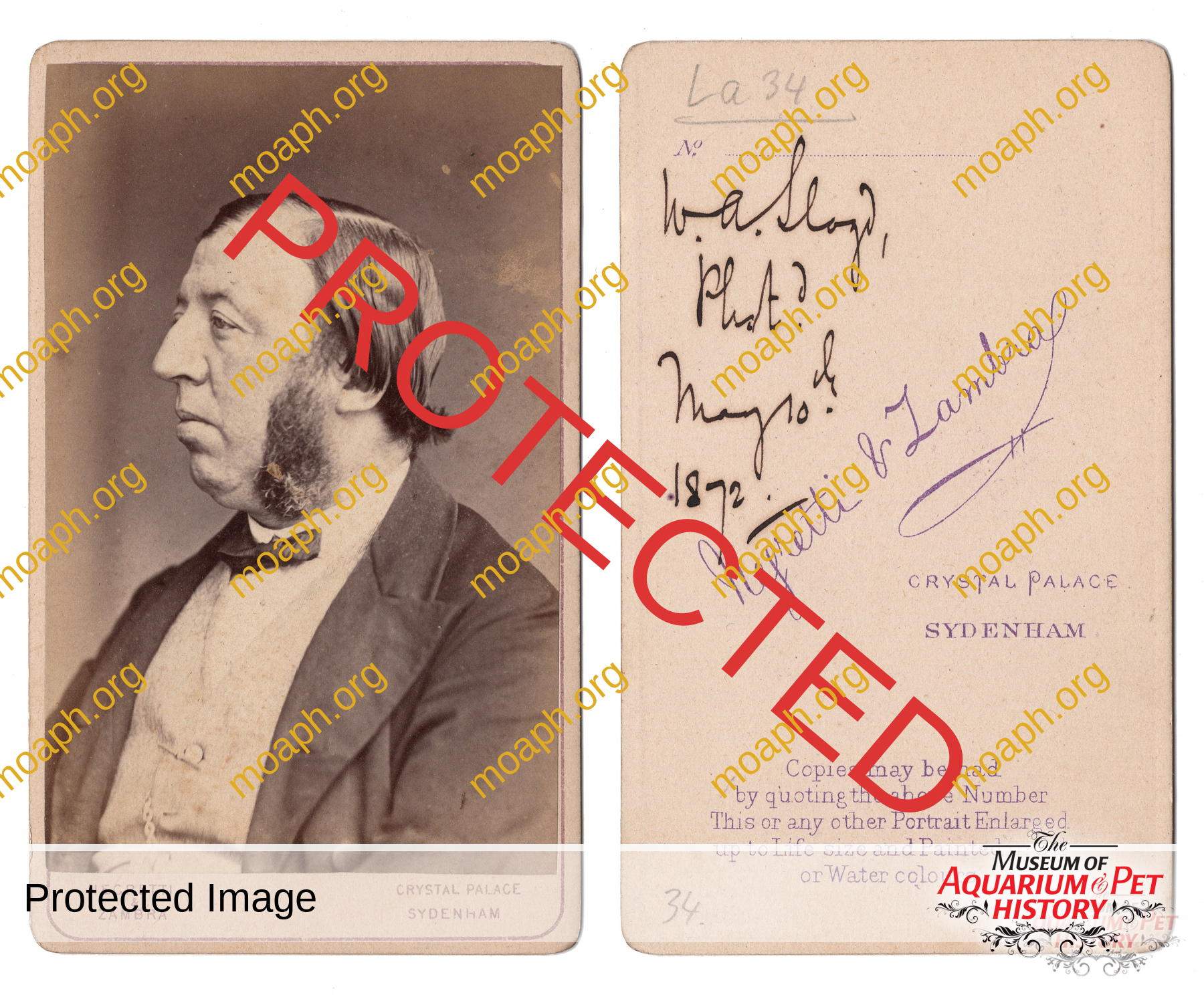 Emiliano-Spada_William-Alford-Lloyd-Article_Photo-3