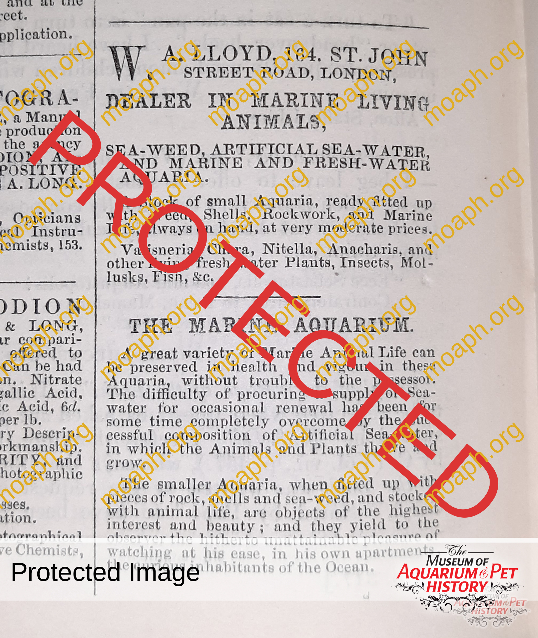 Emiliano-Spada_William-Alford-Lloyd-Article_Photo-4