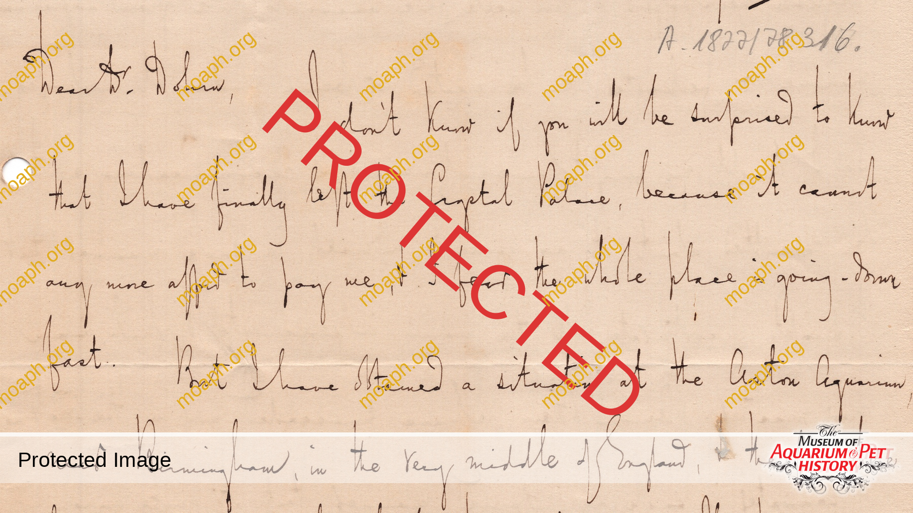 Emiliano-Spada_William-Alford-Lloyd-Article_Photo-8