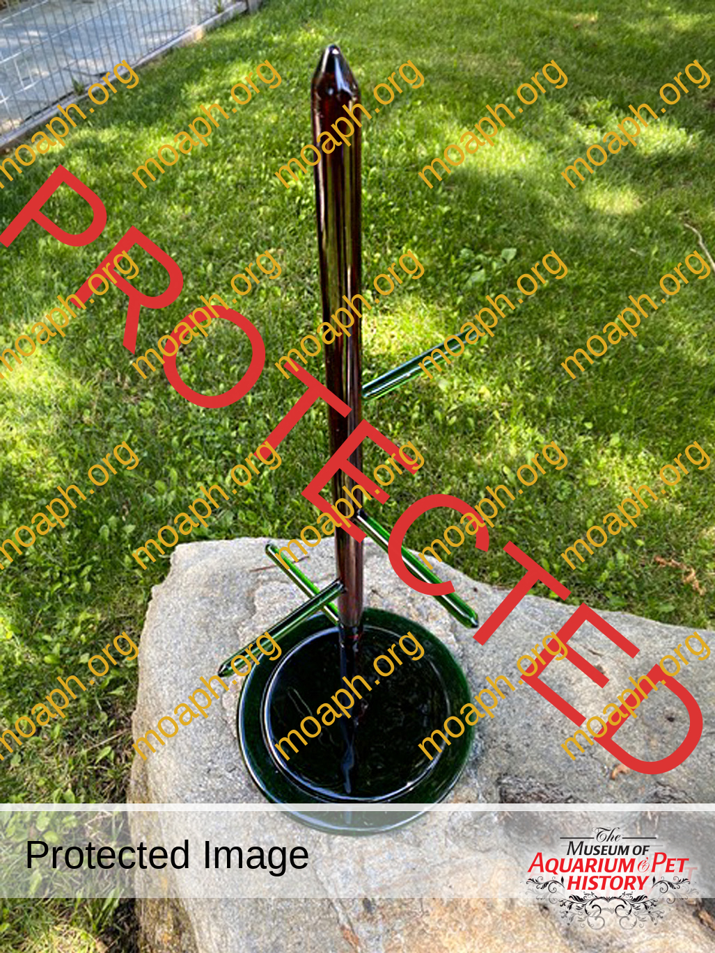 glass-bird-cage-perch