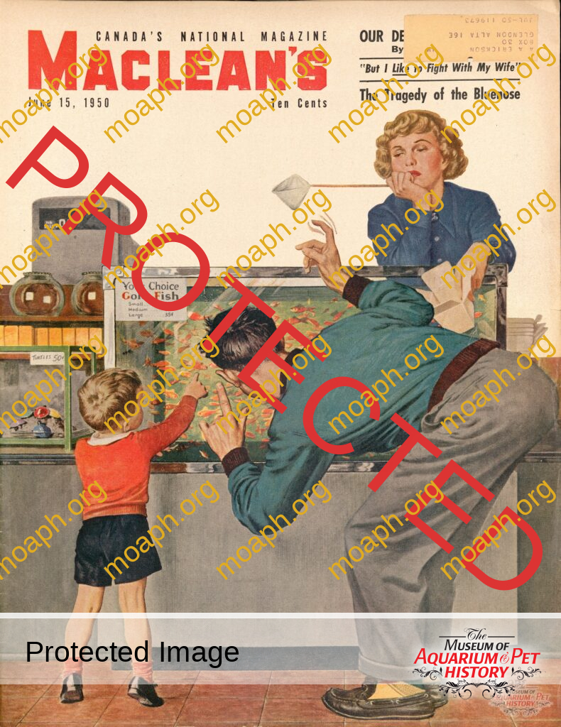 MacLean's Magazine Cover 1950