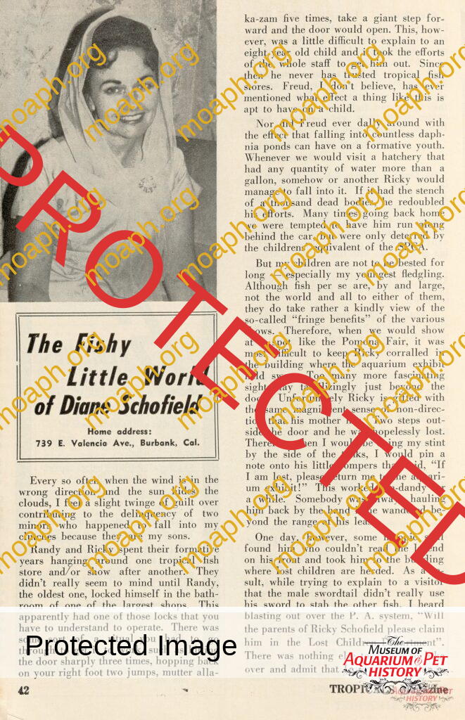 The Fishy Little World of Diane Schofield