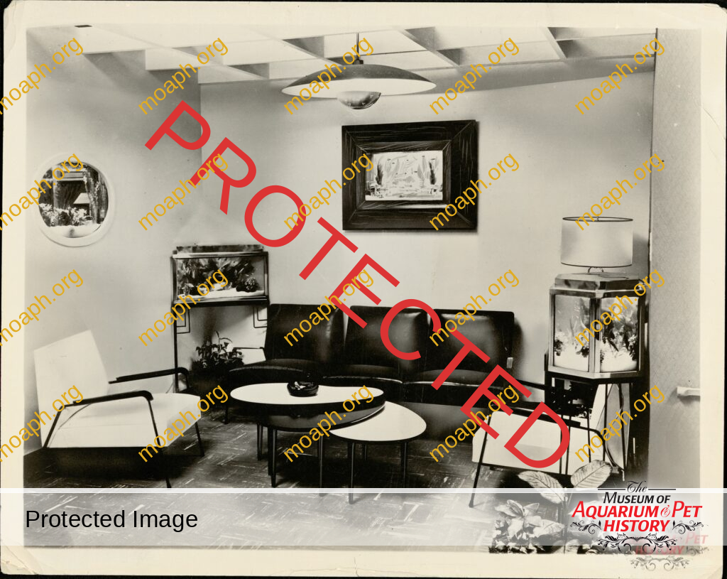 Aquarium Living Room of the Future