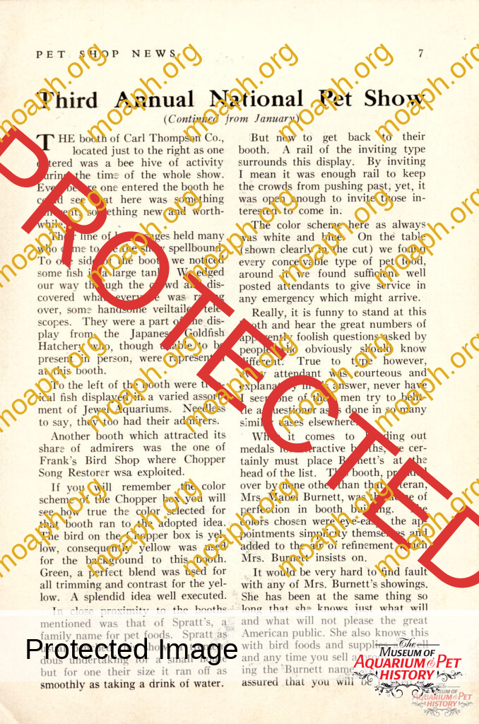 Third Annual National Pet Show Part 2