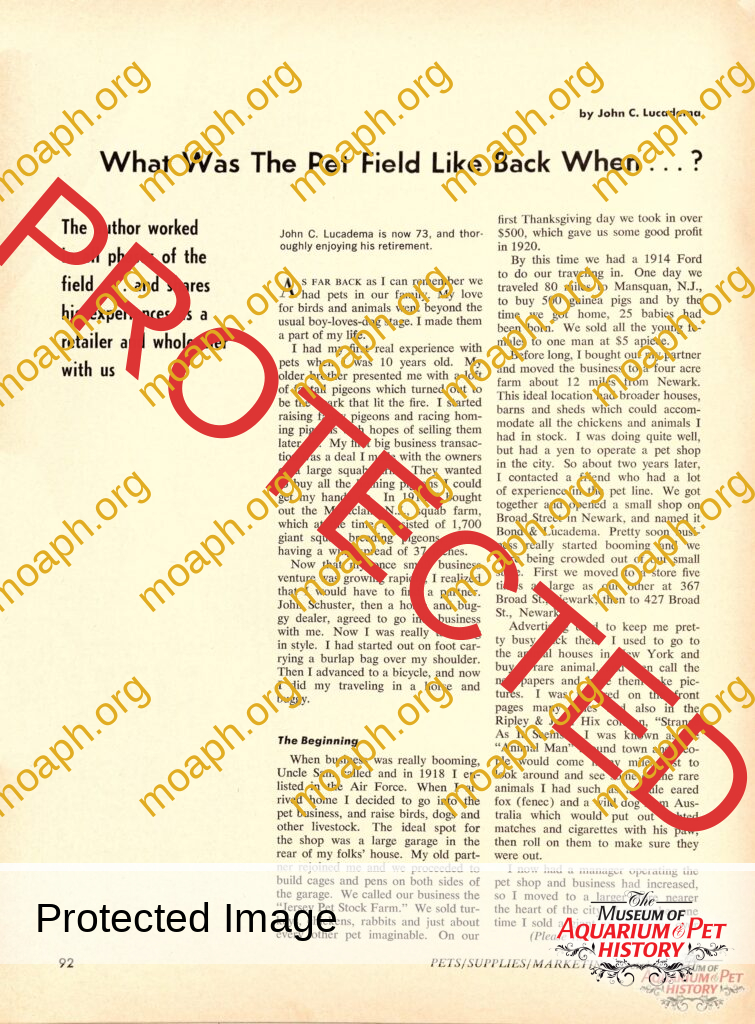 What Was The Pet Field Like Back When...?