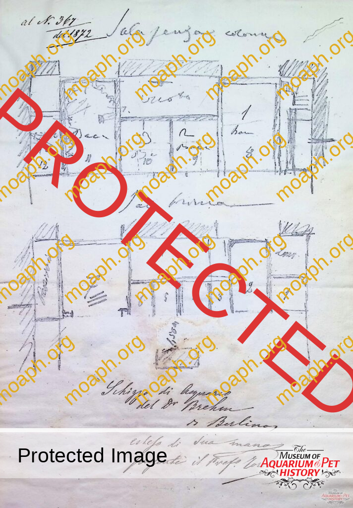 The Forgotten Aquariums of Venice - Part 1